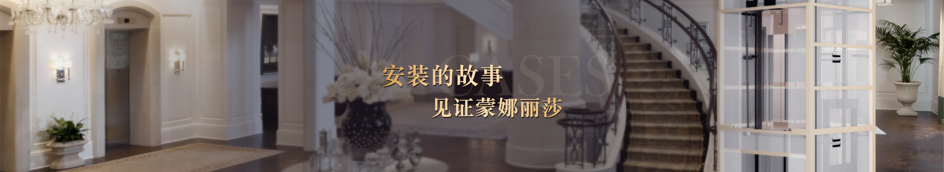 安裝的故事，見(jiàn)證蒙娜麗莎