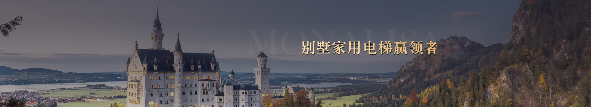 別墅家用電梯贏(yíng)領(lǐng)者